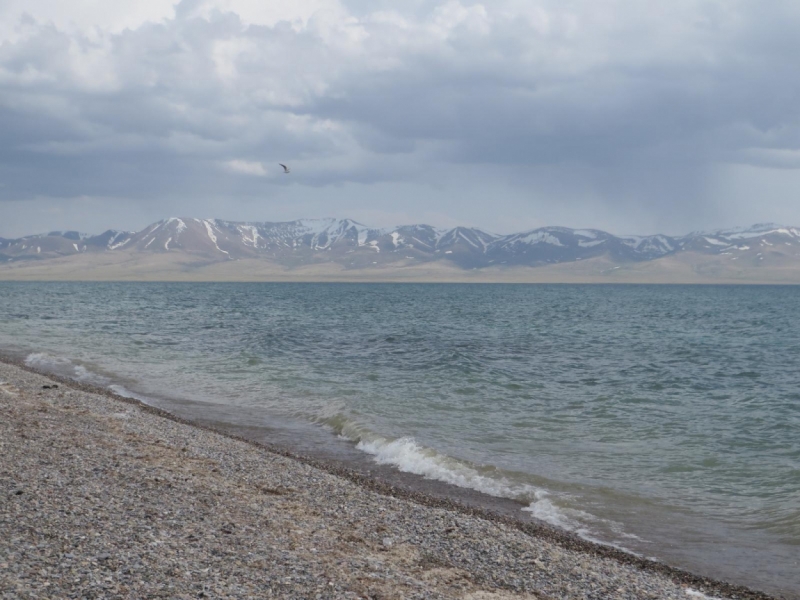 Погода на сон куле. c916c0d11143fbef11626109ce9a53d3. Погода на сон куле фото. Погода на сон куле-c916c0d11143fbef11626109ce9a53d3. картинка Погода на сон куле. картинка c916c0d11143fbef11626109ce9a53d3. На высоте около 3000 метров над уровнем моря в горах Тянь-Шаня в северо-западной части Нарынской области Кыргызстана раскинулась долина озера Сон-Куль. Гористые берега, окружающие его кольцом, изолируют это высокогорное озеро от всех основных путей по Центральному Тянь-Шаню. Несколько перевалов, ведущих к озеру, круты и каменисты. Но несмотря на сложную логистику и отсутствие комфортных для путешествия дорог, начиная с весны, а особенно летом, озерные берега Сон-Куля оживают и густо заселяются. Редко где на Тянь-Шане встретишь такое количество кыргызских юрт. Причина – хорошие пастбища. Кочевники пригоняют сюда, на высокогорные луга с сочной травой, стада коров, баранов и табуны лошадей. И пасутся они здесь до осени, пока не наступят заморозки.