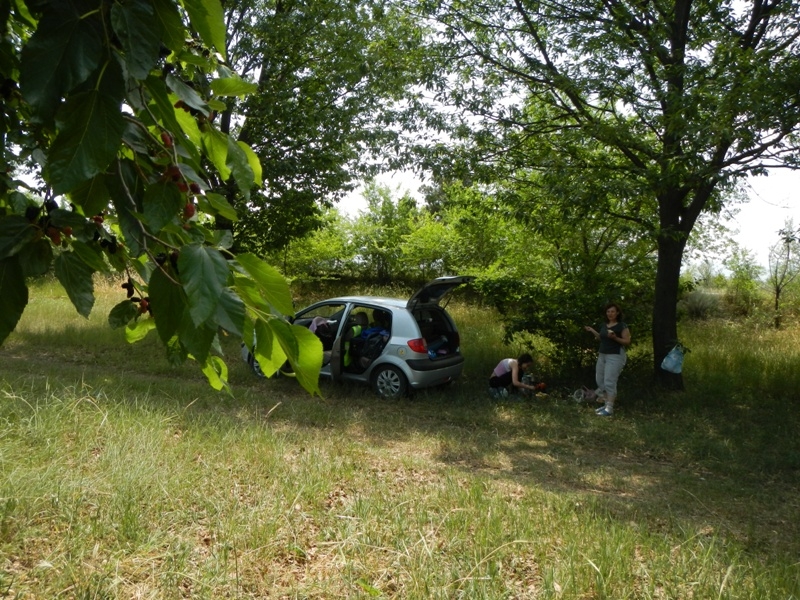 В Турцию на авто через Азербайджан и Грузию. Май-июнь 2014.