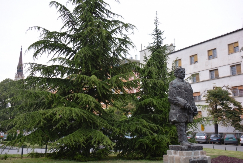 Сербия, июнь 2014. Мимоходом. Сербия, июнь 2014. Мимоходом.