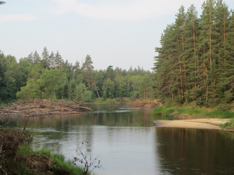 В поисках лучшей реки для сплава