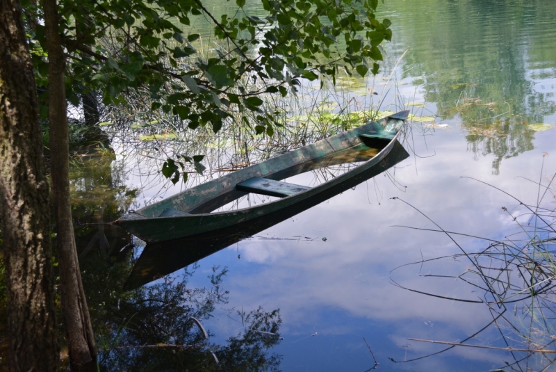 Взгляд сквозь лужу: отражения мира в фотографиях