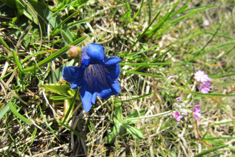 Германия 2014. Провинциальная Германия - майская традиция.