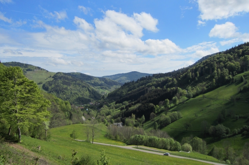 Германия 2014. Провинциальная Германия - майская традиция.