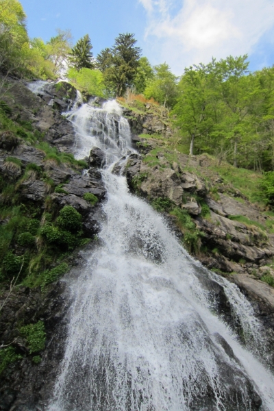 Германия 2014. Провинциальная Германия - майская традиция.