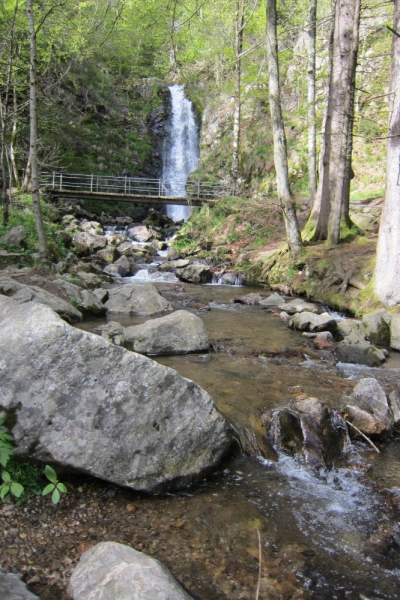 Германия 2014. Провинциальная Германия - майская традиция.