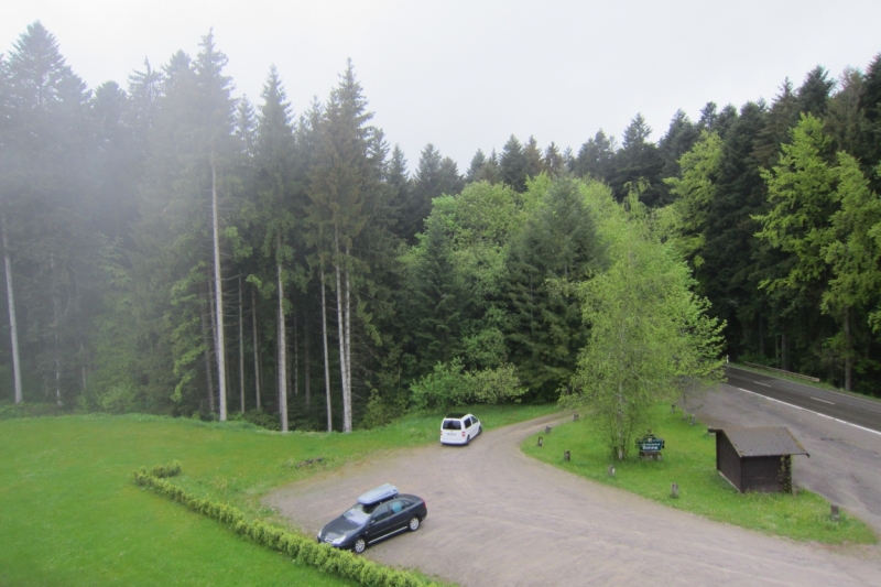 Германия 2014. Провинциальная Германия - майская традиция.