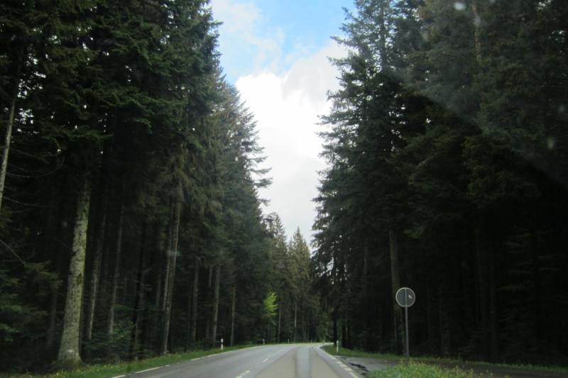 Германия 2014. Провинциальная Германия - майская традиция.