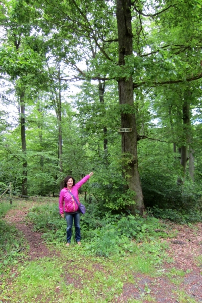 Германия 2014. Провинциальная Германия - майская традиция.