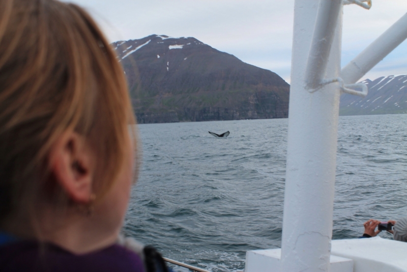 Исландия июль 2013 на мини кемпере