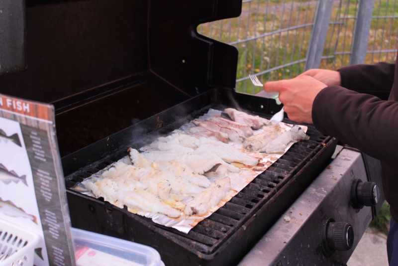 Исландия июль 2013 на мини кемпере