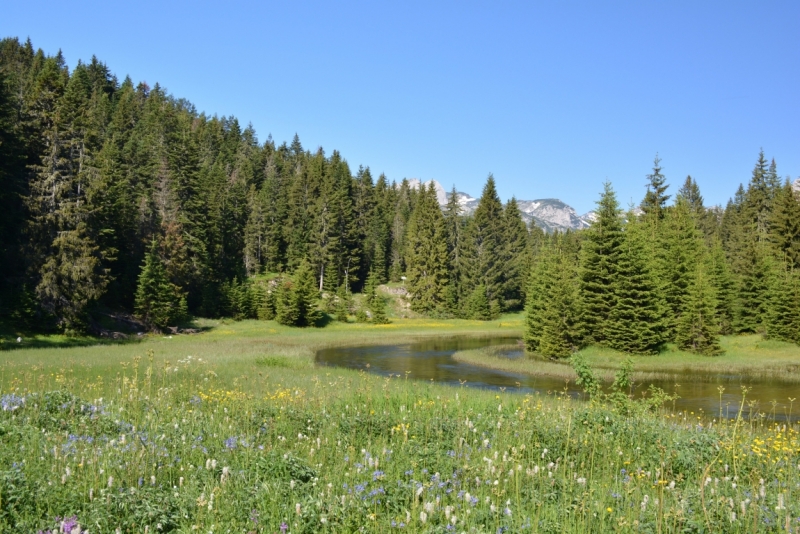 Природные пейзажи разных стран в фотографиях