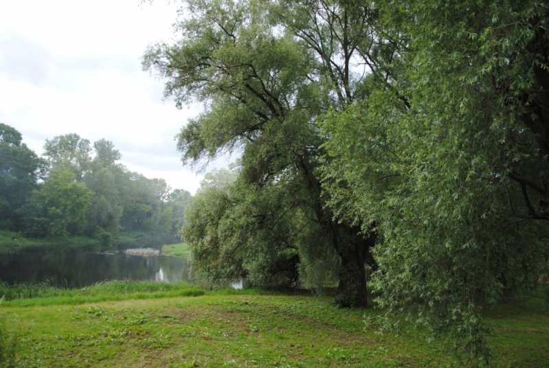 Галопом по Европам или бешеной собаке… Брест-Краков-Прага-Карловы Вары-Дрезден-Варшава