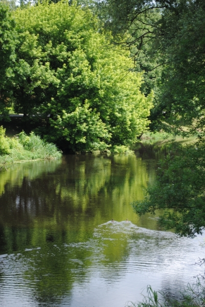 Галопом по Европам или бешеной собаке… Брест-Краков-Прага-Карловы Вары-Дрезден-Варшава