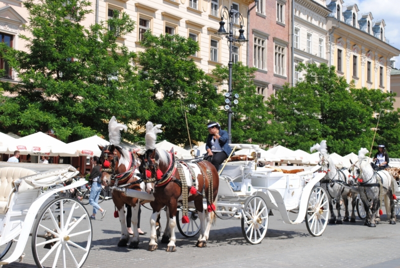 Галопом по Европам или бешеной собаке… Брест-Краков-Прага-Карловы Вары-Дрезден-Варшава