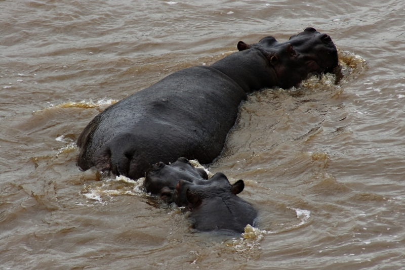 Кения апрель 2014