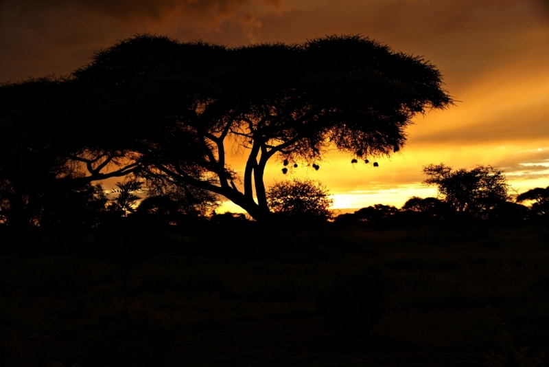 Кения апрель 2014