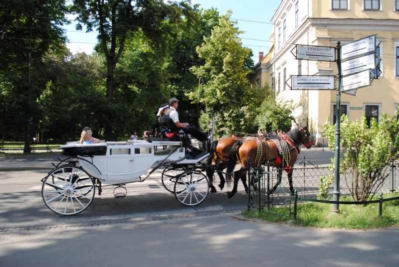 Галопом по Европам или бешеной собаке… Брест-Краков-Прага-Карловы Вары-Дрезден-Варшава