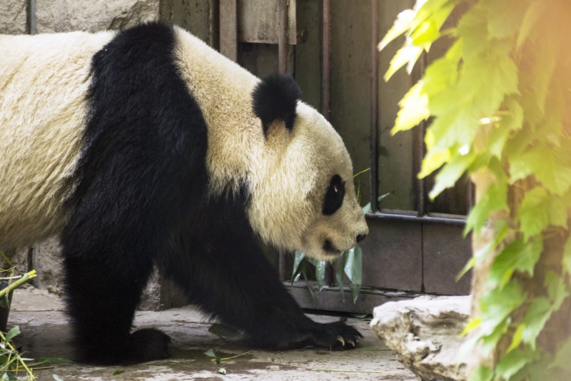 Пекин-Тяньцзинь-Шанхай-Шэньчжэнь-Гуанчжоу-Гонконг-Макао апрель-май 2014