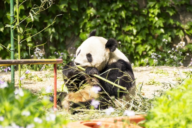 Пекин-Тяньцзинь-Шанхай-Шэньчжэнь-Гуанчжоу-Гонконг-Макао апрель-май 2014