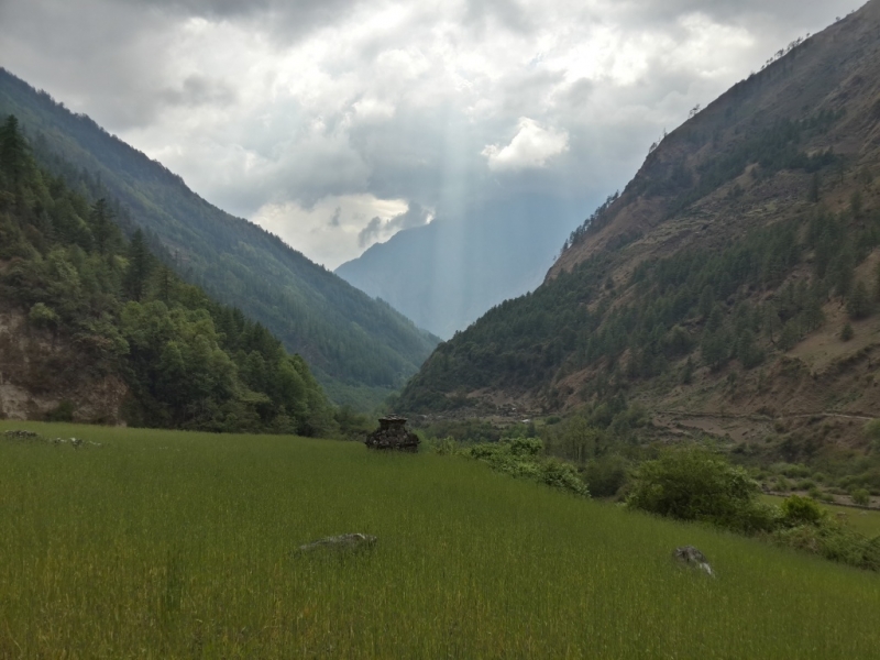 Манаслу трек с заходом в долину Цум (2014), или не оконченное дело.