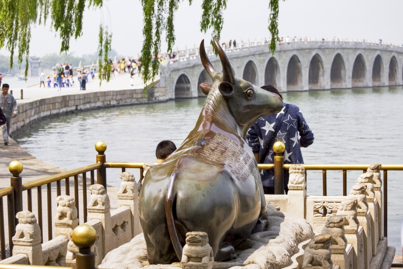 Пекин-Тяньцзинь-Шанхай-Шэньчжэнь-Гуанчжоу-Гонконг-Макао апрель-май 2014
