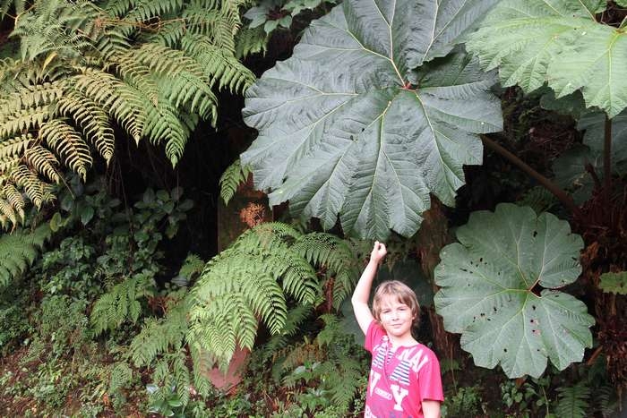 Нью-Йорк-Коста-Рика(Corkovado)-Панама(Bocas del Toro) июнь 2014