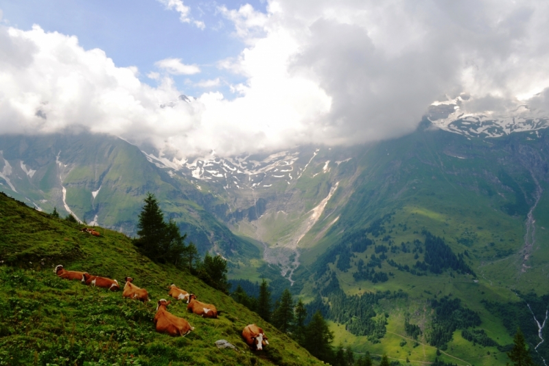 Австрия горная -Гальштат, Гросглокнер; Бавария-озера, Берхтесгаден,Ротенбург-на-Таубере