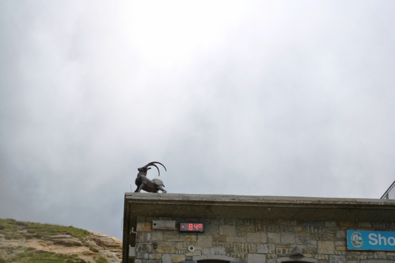 Австрия горная -Гальштат, Гросглокнер; Бавария-озера, Берхтесгаден,Ротенбург-на-Таубере