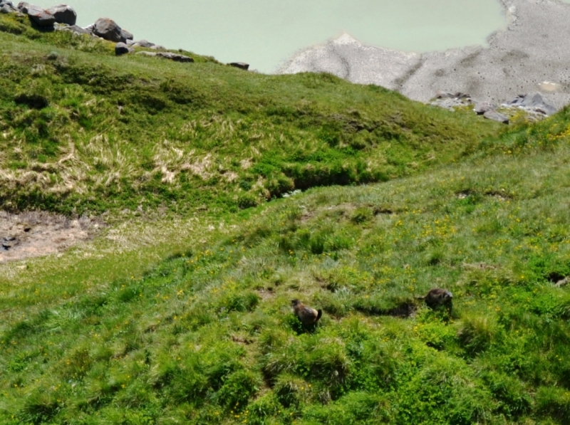 Австрия горная -Гальштат, Гросглокнер; Бавария-озера, Берхтесгаден,Ротенбург-на-Таубере