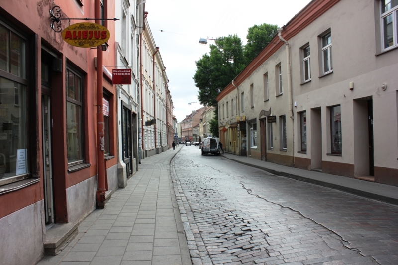 Литва проездом (Вильнюс, Тракай)_июнь 2014