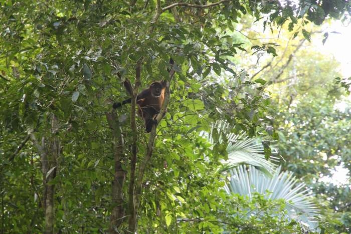 Нью-Йорк-Коста-Рика(Corkovado)-Панама(Bocas del Toro) июнь 2014