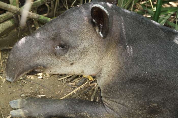 Нью-Йорк-Коста-Рика(Corkovado)-Панама(Bocas del Toro) июнь 2014