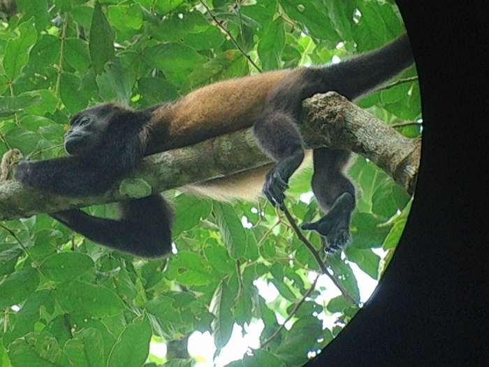 Нью-Йорк-Коста-Рика(Corkovado)-Панама(Bocas del Toro) июнь 2014