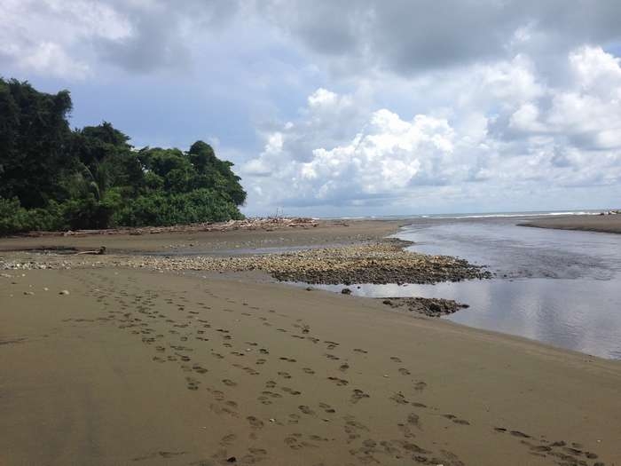 Нью-Йорк-Коста-Рика(Corkovado)-Панама(Bocas del Toro) июнь 2014