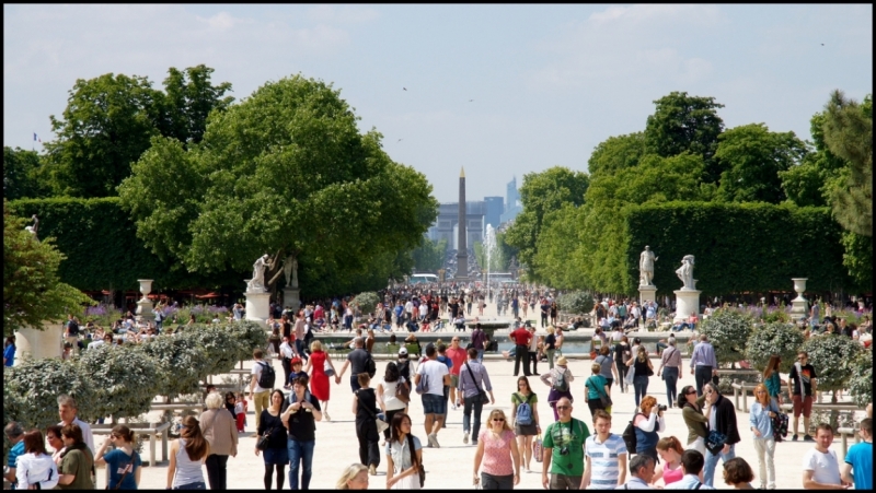 Французское меню (Прованс + Париж)