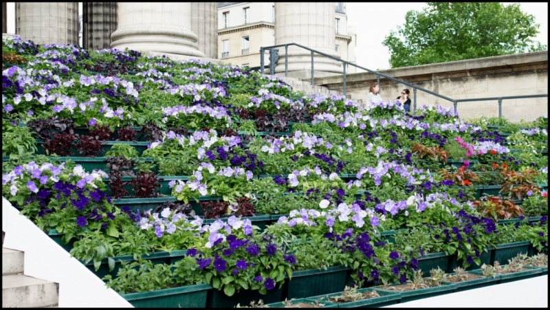 Французское меню (Прованс + Париж)