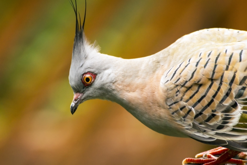 Пекин-Тяньцзинь-Шанхай-Шэньчжэнь-Гуанчжоу-Гонконг-Макао апрель-май 2014