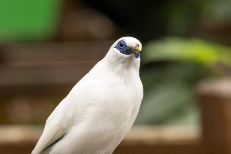 Пекин-Тяньцзинь-Шанхай-Шэньчжэнь-Гуанчжоу-Гонконг-Макао апрель-май 2014