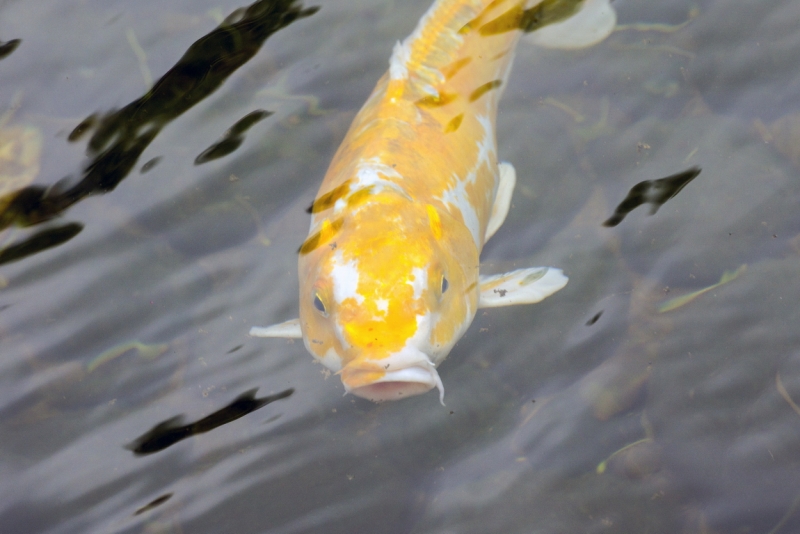 Пекин-Тяньцзинь-Шанхай-Шэньчжэнь-Гуанчжоу-Гонконг-Макао апрель-май 2014