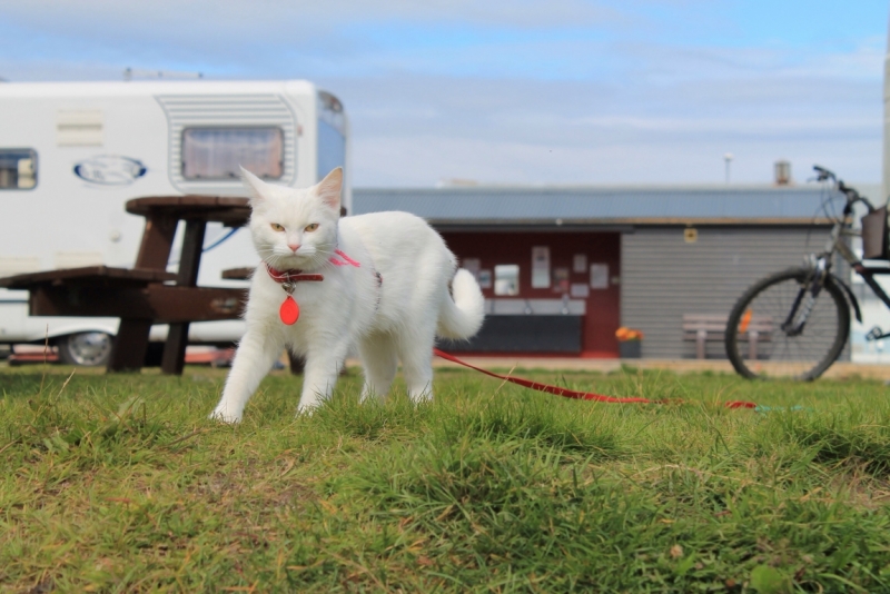 Исландия июль 2013 на мини кемпере