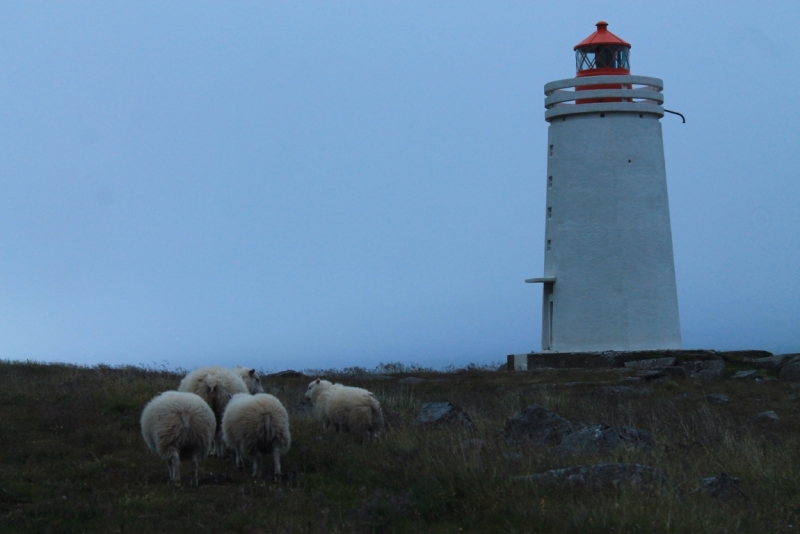 Исландия июль 2013 на мини кемпере