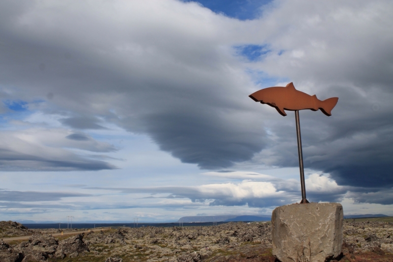 Исландия июль 2013 на мини кемпере