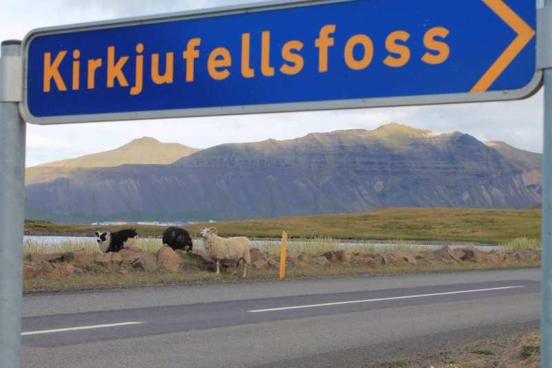 Исландия июль 2013 на мини кемпере