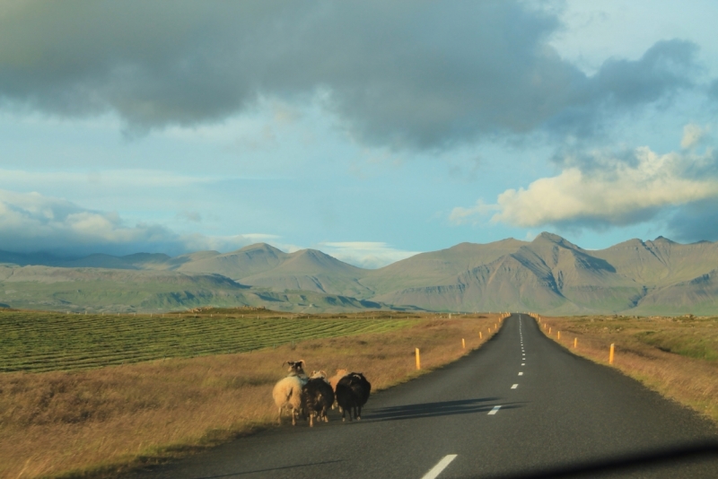 Исландия июль 2013 на мини кемпере