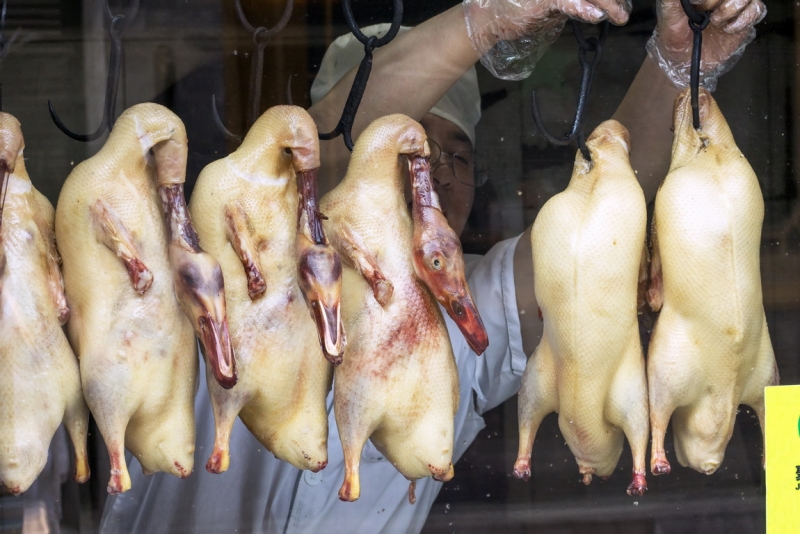 Пекин-Тяньцзинь-Шанхай-Шэньчжэнь-Гуанчжоу-Гонконг-Макао апрель-май 2014