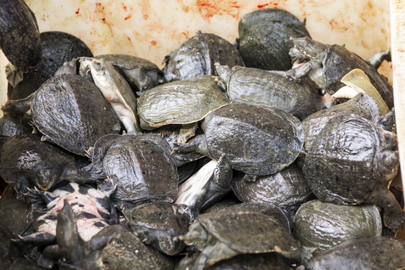 Пекин-Тяньцзинь-Шанхай-Шэньчжэнь-Гуанчжоу-Гонконг-Макао апрель-май 2014