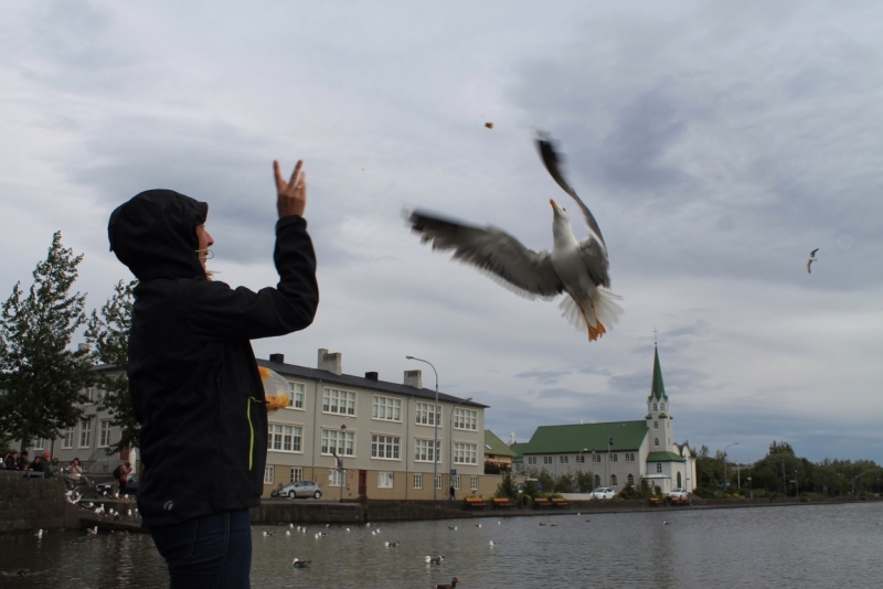 Исландия июль 2013 на мини кемпере