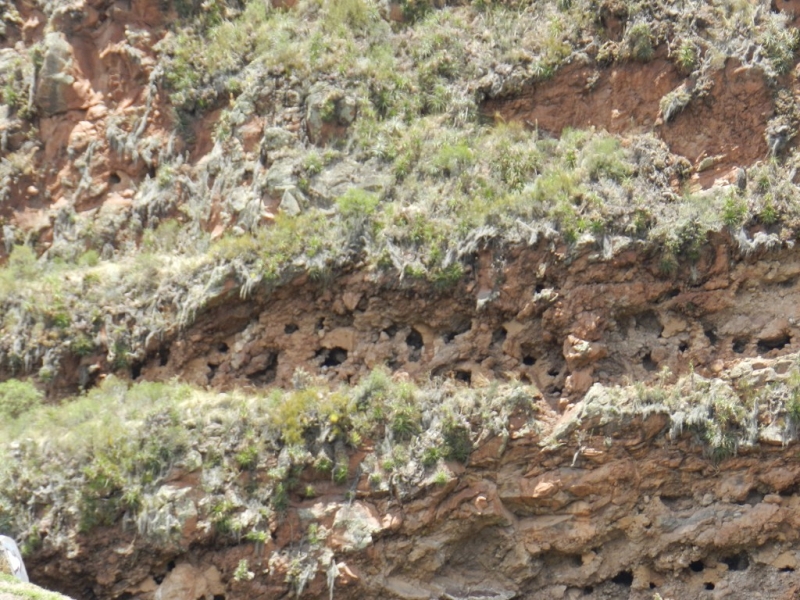 Перу, Боливия и кусочек пляжного Эквадора, ноябрь 2013