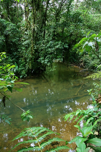 Необычный и интересный маршрут