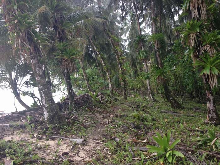 Нью-Йорк-Коста-Рика(Corkovado)-Панама(Bocas del Toro) июнь 2014